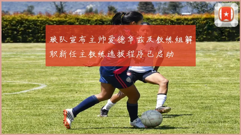 狼队宣布主帅爱德华兹及教练组解职新任主教练选拔程序已启动