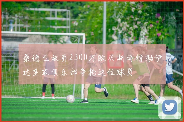 桑德兰放弃2300万欧买断海特勒伊达多家俱乐部争抢这位球员